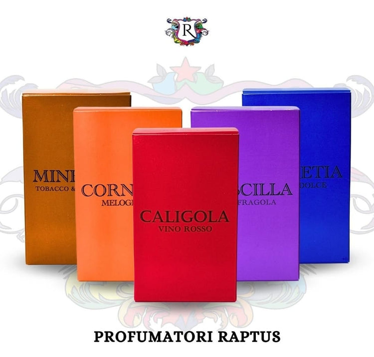 Raptus-diffusori per ambiente